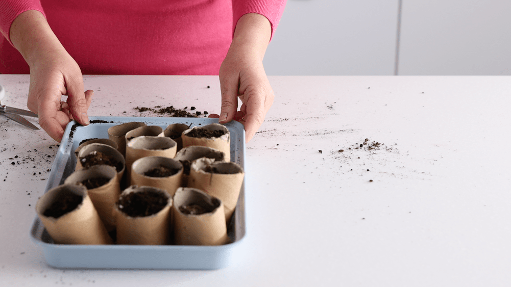 make-your-own-biodegradable-pots