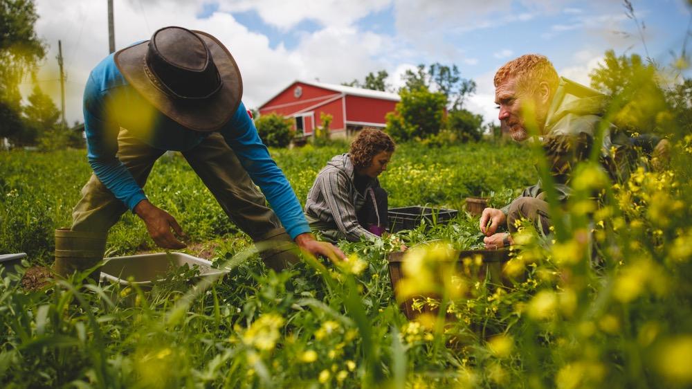 Harrowsmith Magazine | Make. Grow. Sustain. Share.