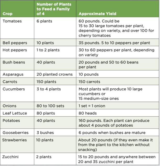 Popular Food Crops and Their Yield