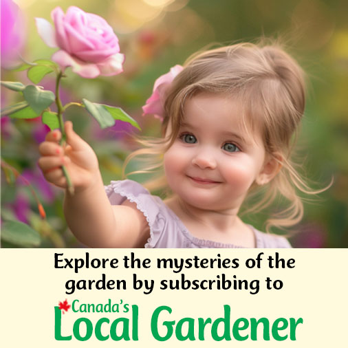 Local Gardener Ad